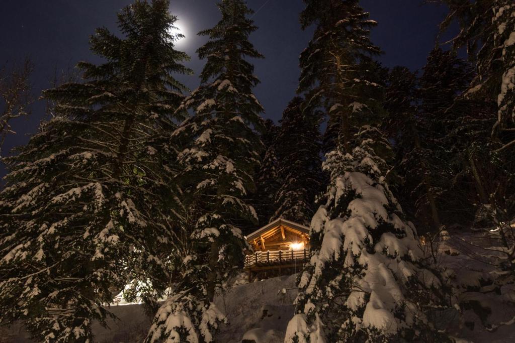 Amour de Chalet - Clairière aux cabanes - Bol d'air - 2