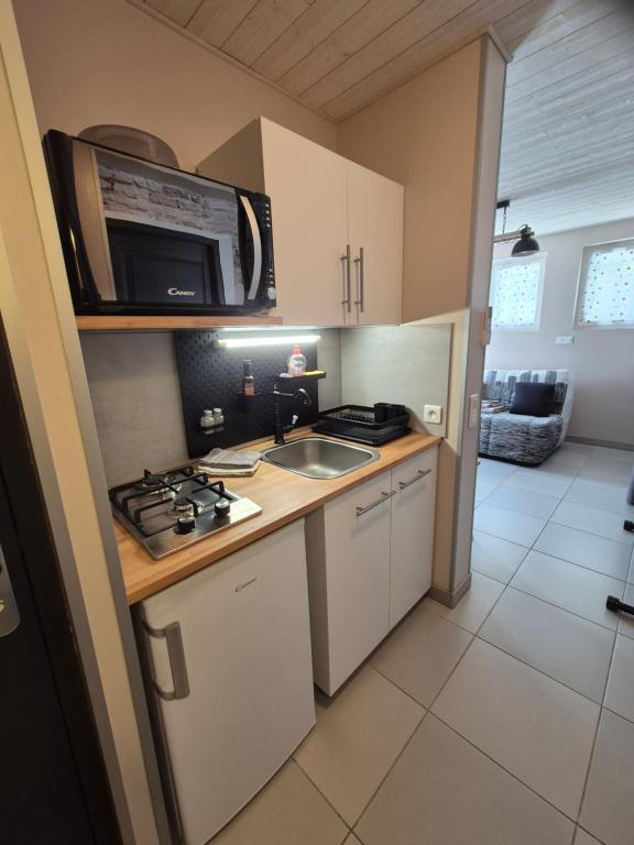 Charmant appartement indépendant Ty-Oustal - 5