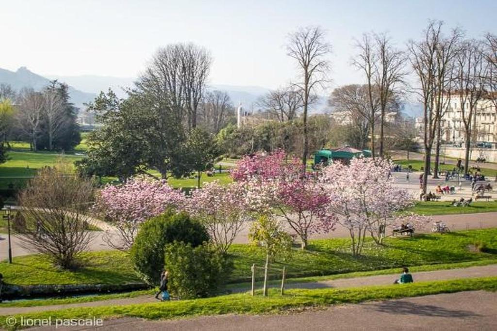 アクティビティ