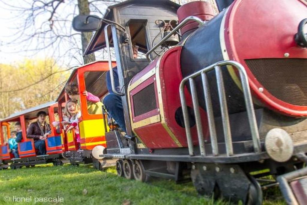 アクティビティ