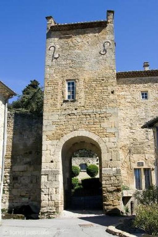 アクティビティ