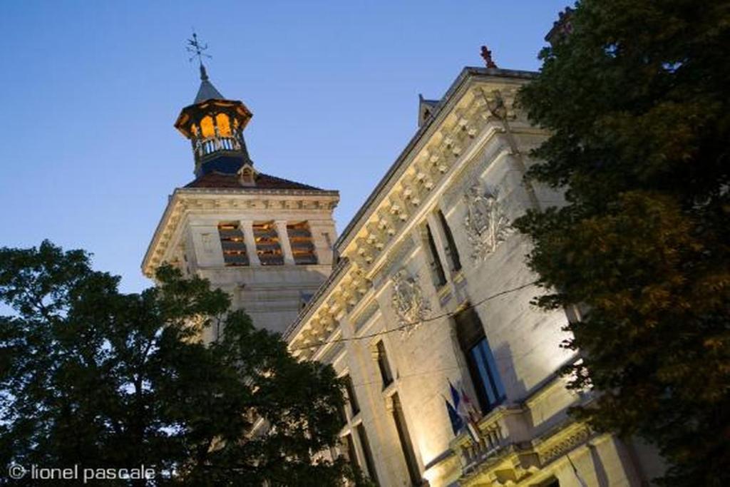 アクティビティ