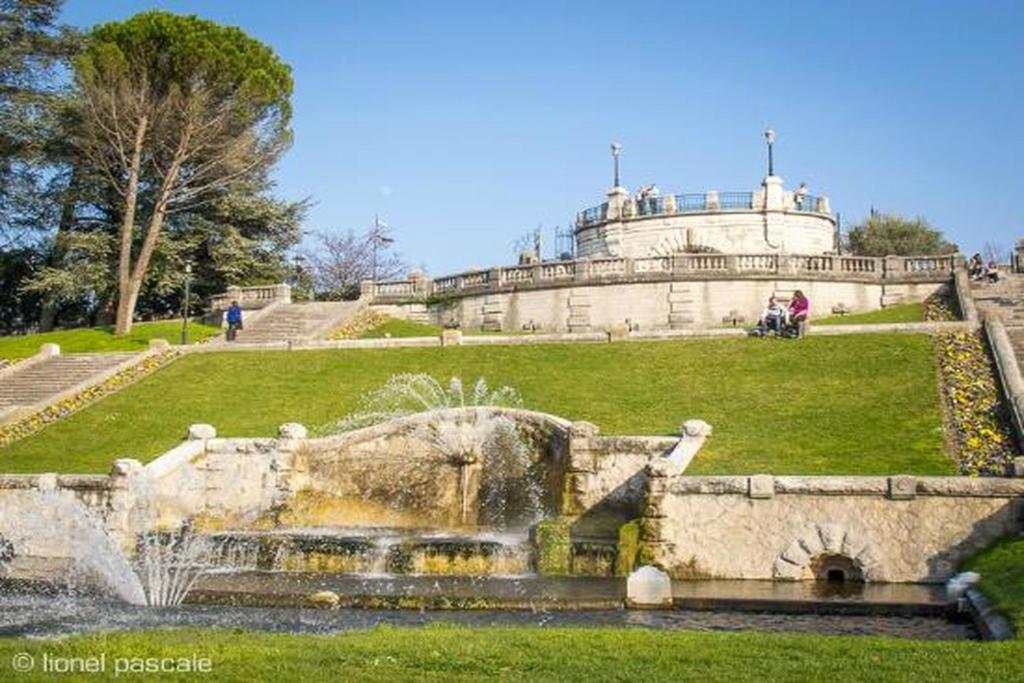 アクティビティ