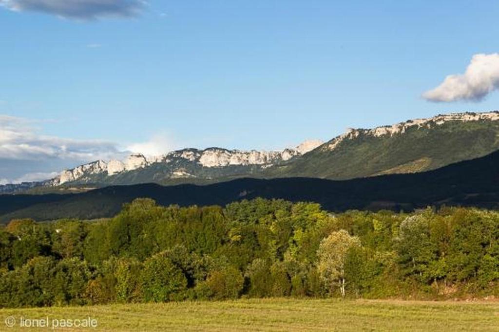 アクティビティ