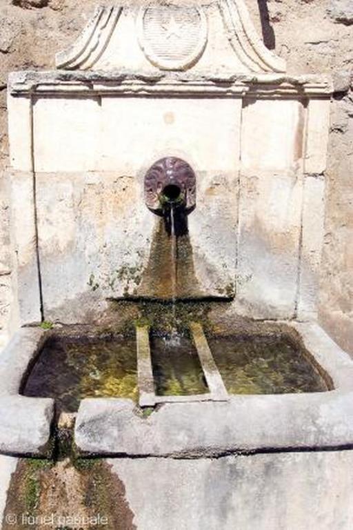 アクティビティ