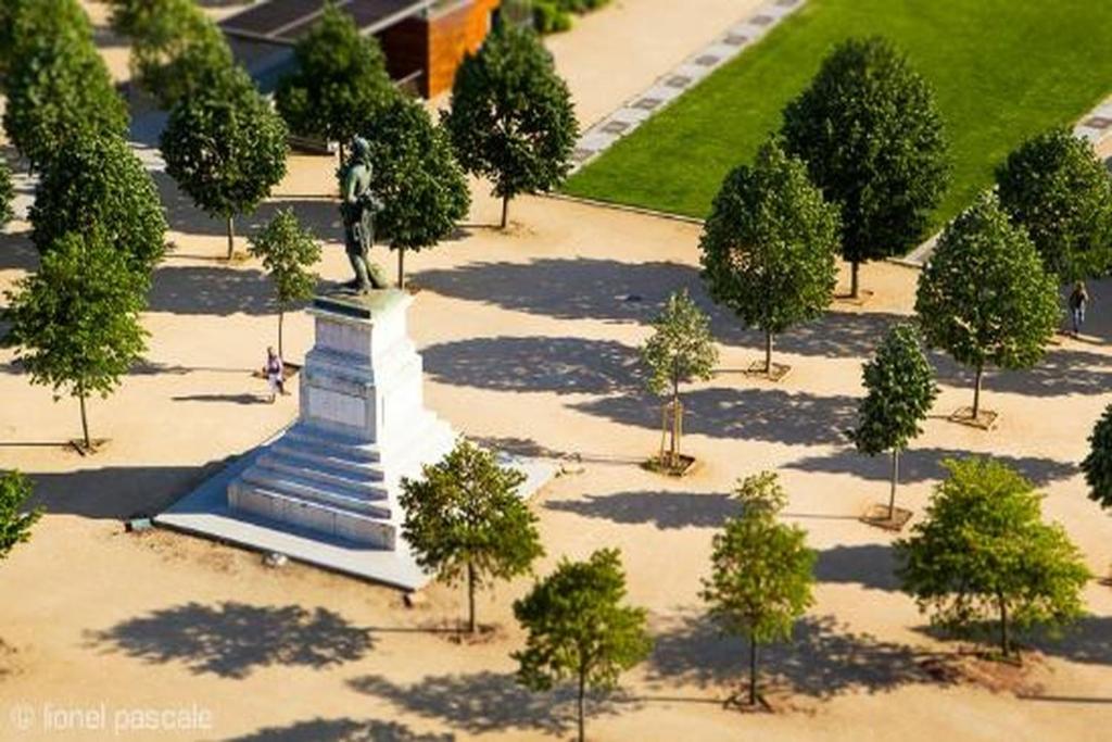 アクティビティ