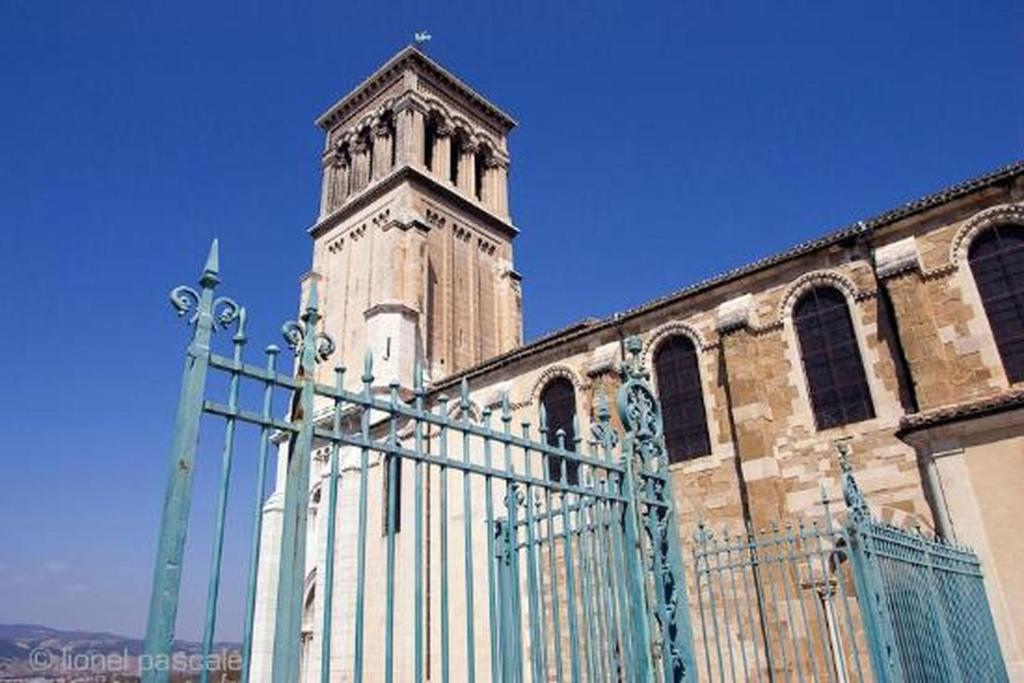 アクティビティ