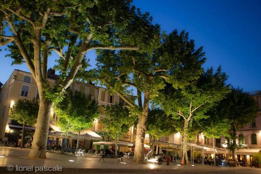 アクティビティ