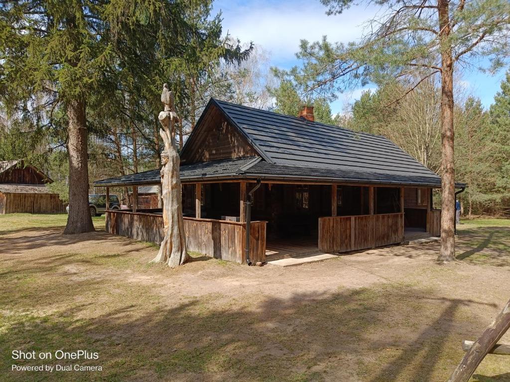 Domek w lesie, nocleg na Lubelszczyźnie, Sosnówka