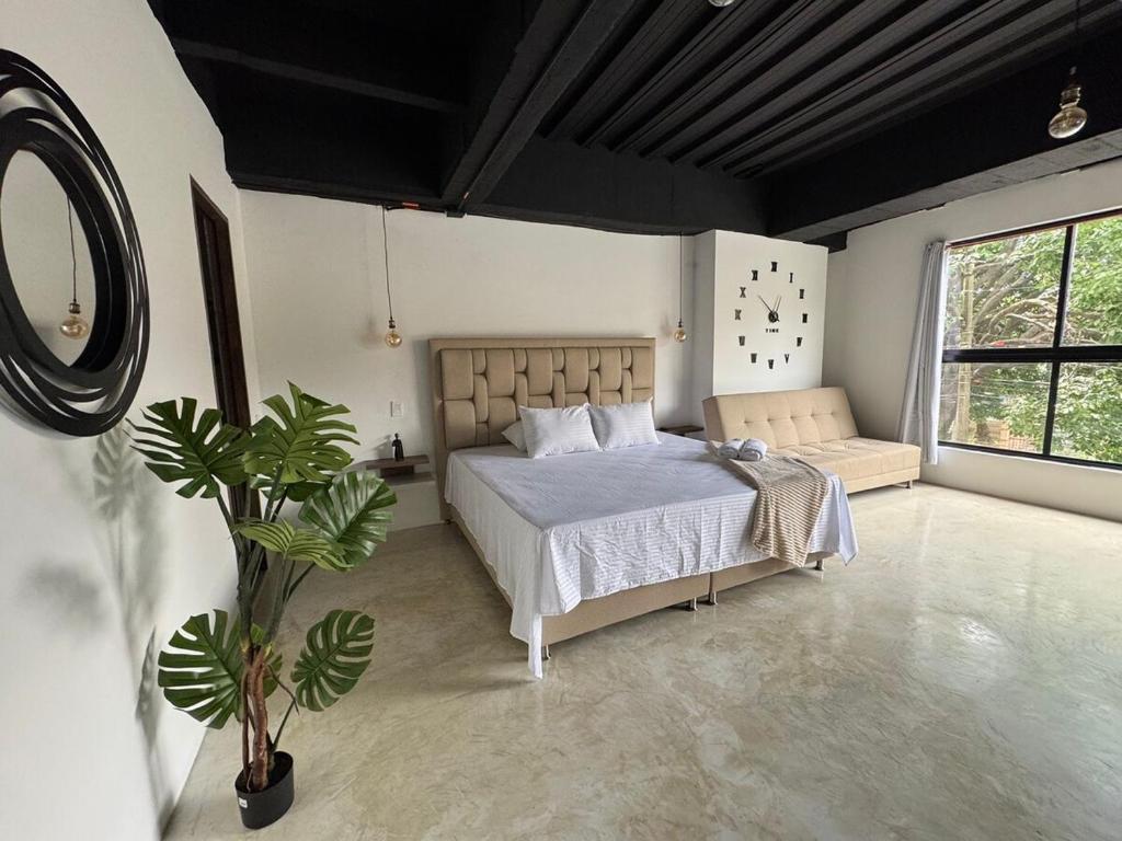 24 Laureles Prime Elegancia y Comodidad Medellín - 3