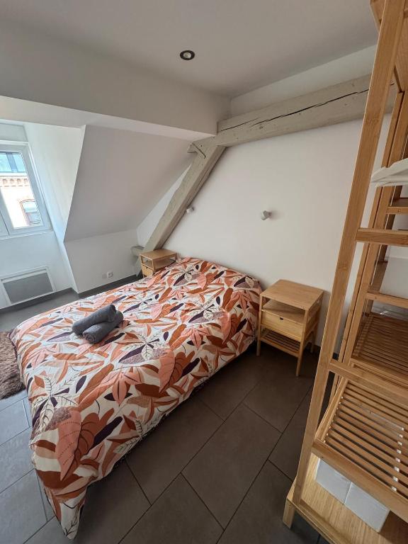 Appartement cosy au centre ville de Colmar - 4