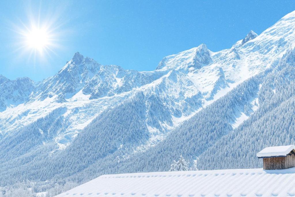 A lovely duplex with views of the Mont Blanc - 4