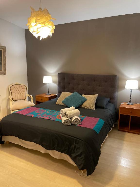 Vue exceptionnelle sur les Tours ! Charme et tranquillité - 5