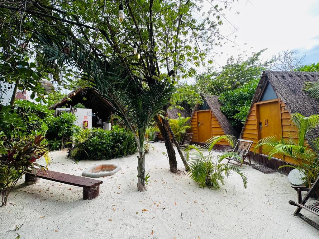 Surrounding environment