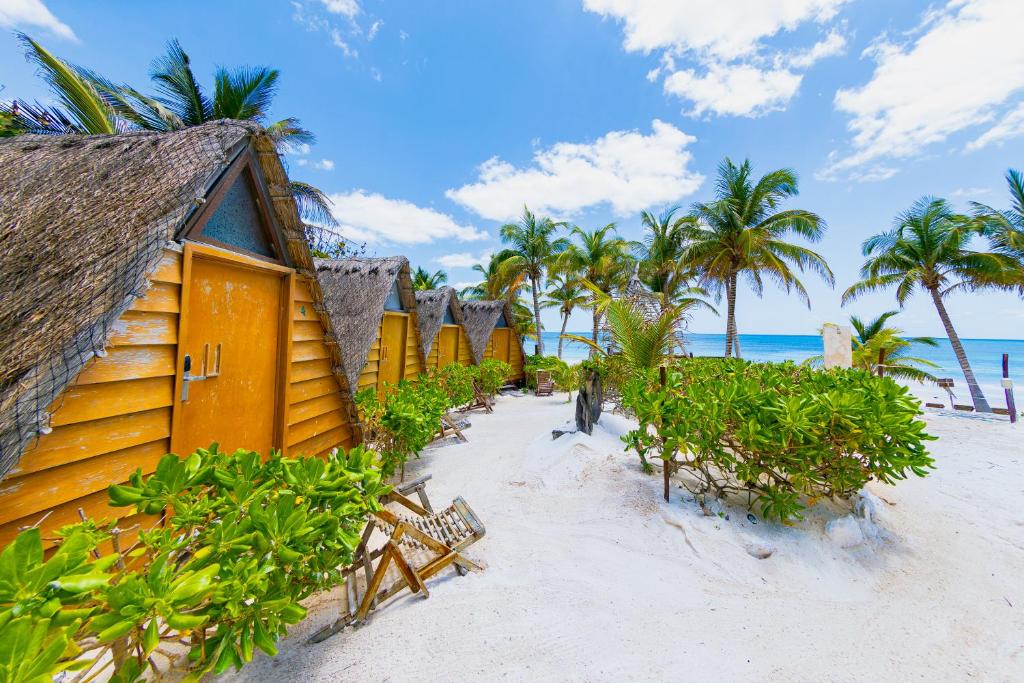 Surrounding environment