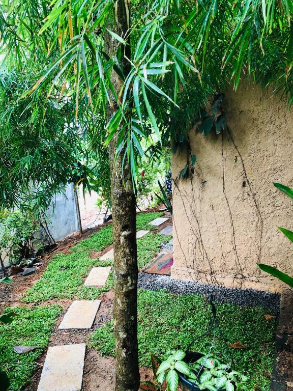 Linu Homestay, Hiriketiya