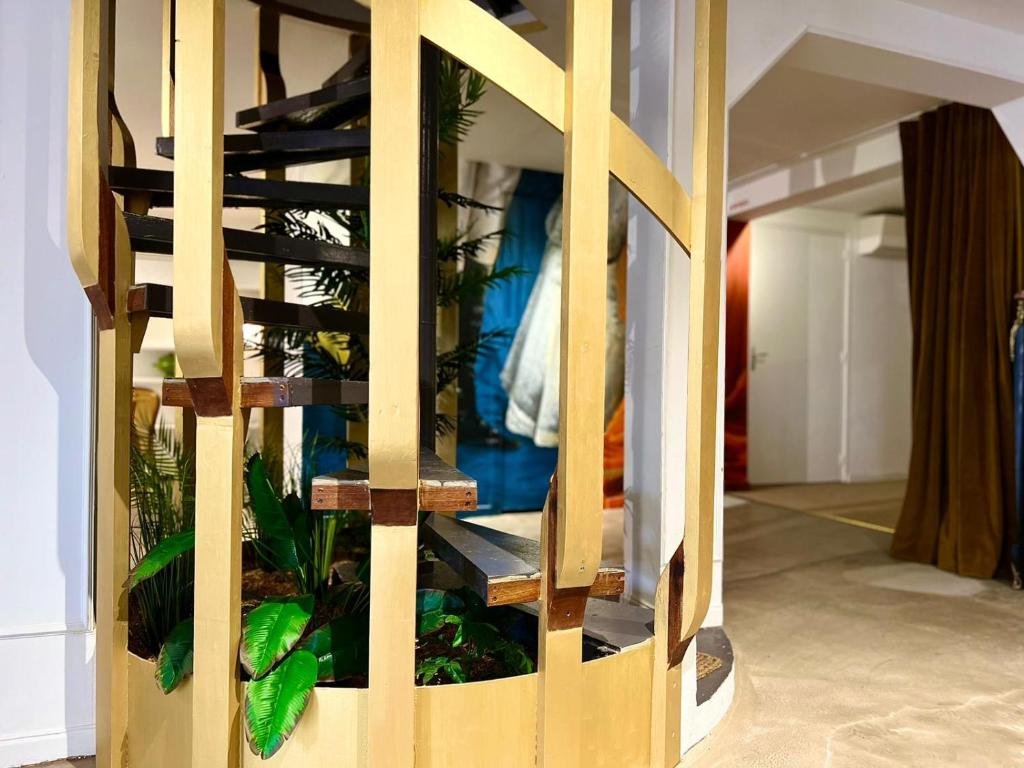 Coliving Ajaccio type Auberge de Jeunesse - 1