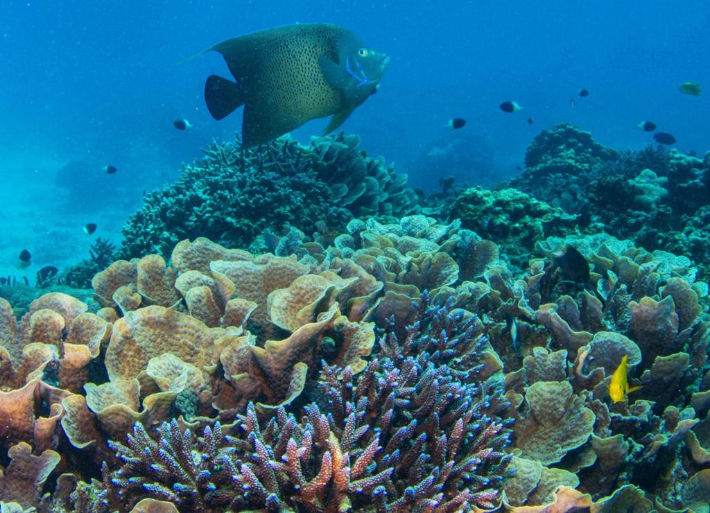 Sports and activities