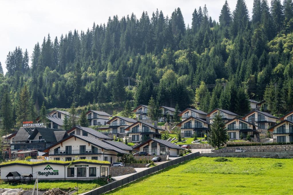 EcoBerghaus - Котеджне містечко, Bukovel