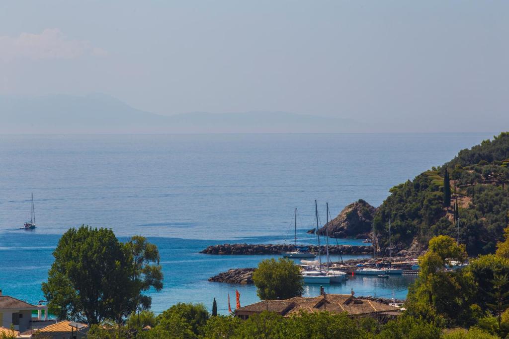 View