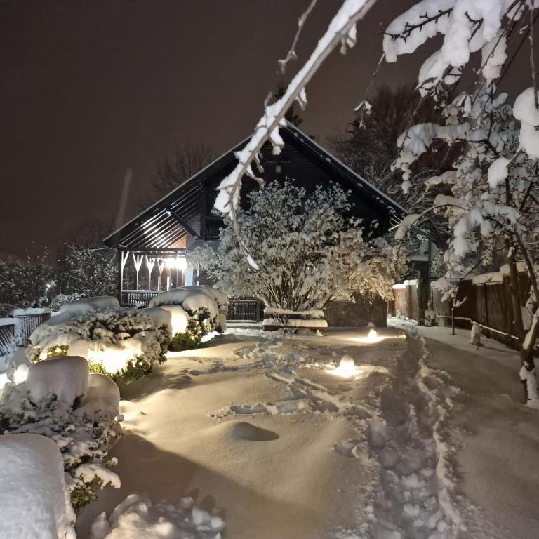 DRUMUL DOMNISORILOR c, Buşteni