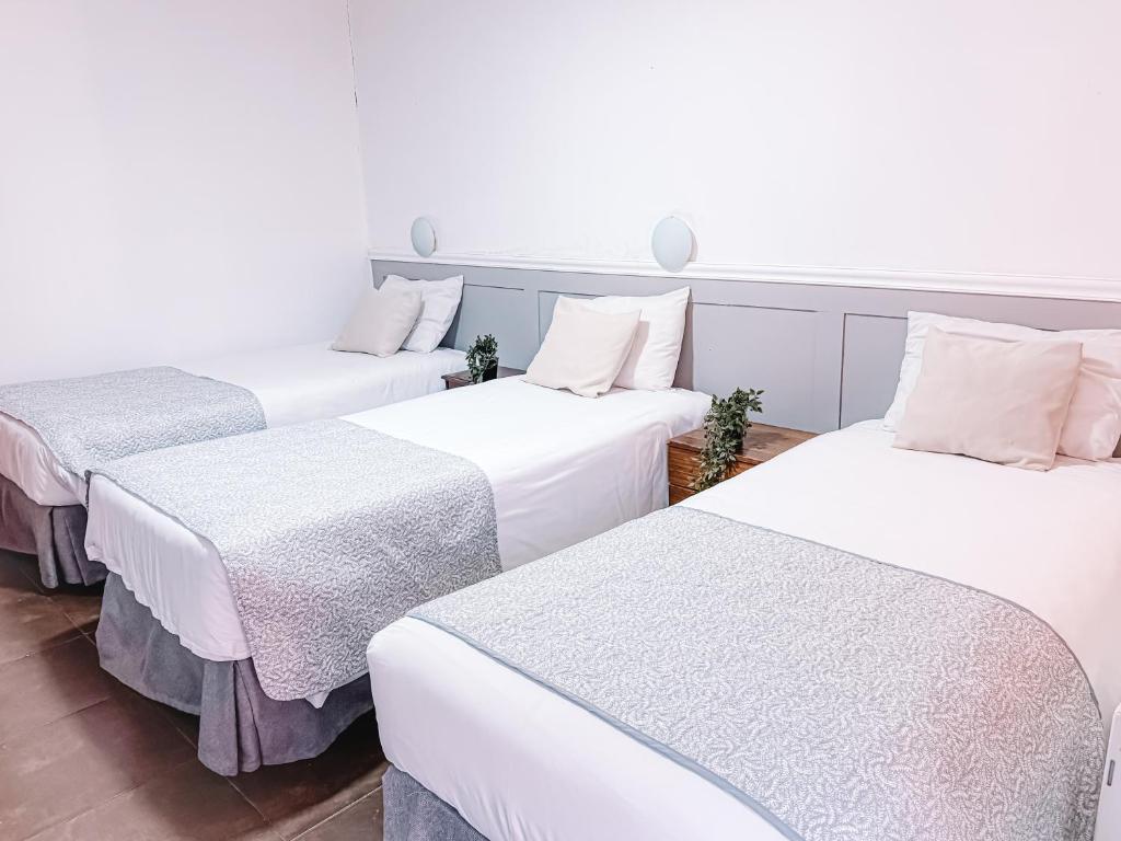 Hostal del Rio Talca - 2