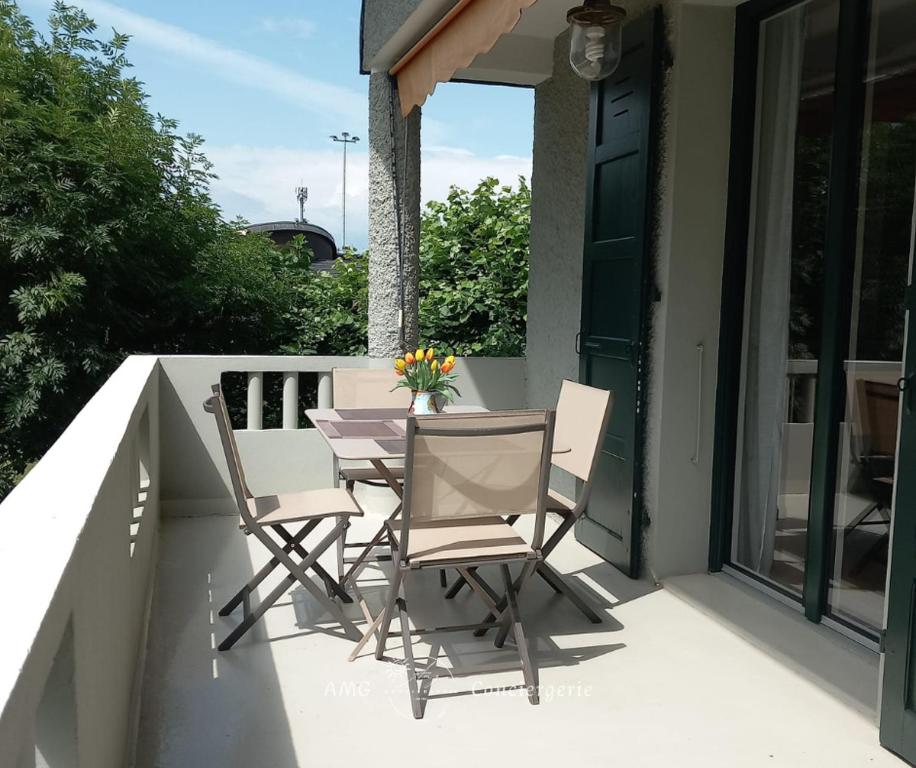 Logement à deux pas du Lac, proche du centre ville - 2