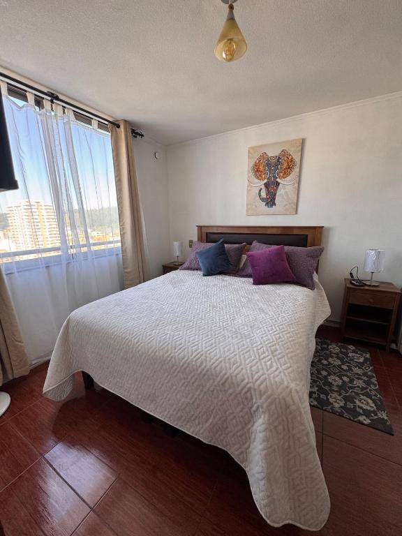 Apartamento Concepción Centro - 2