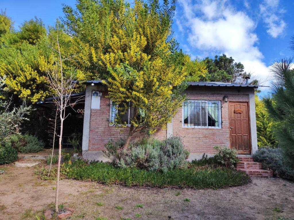 Hermoso Refugio del Bosque - 1
