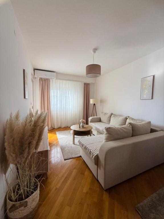 Comfort corner Podgorica - 2