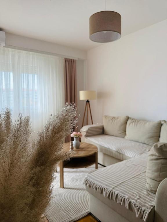 Comfort corner Podgorica - 4