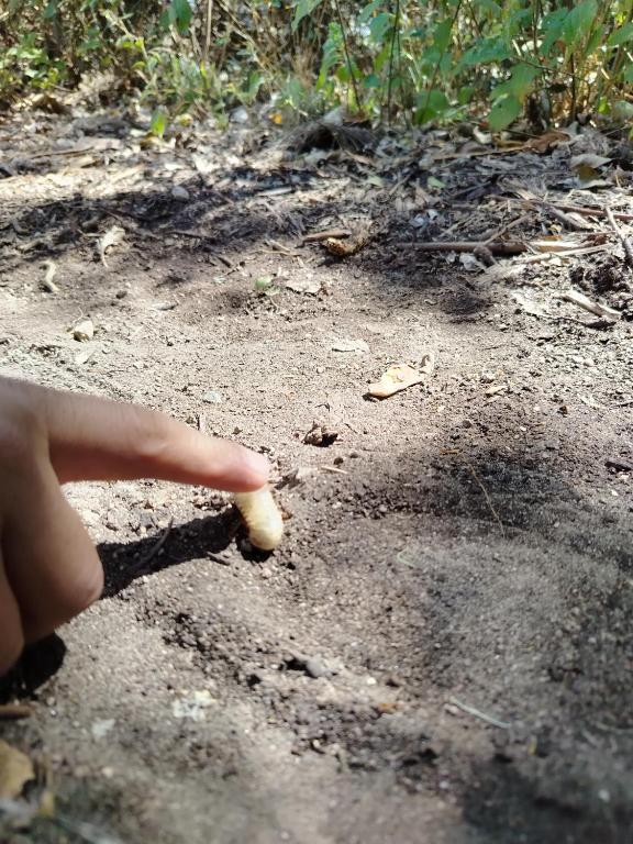 Casa de campo sendero al Ruco Pichincha - 3