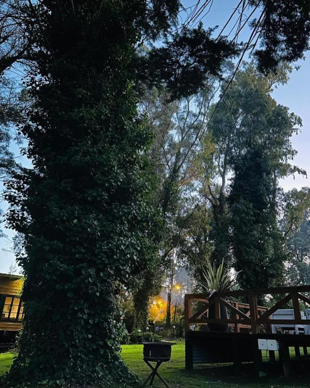 Casa 4, Bosque Peralta Ramos, Mar del Plata con carpa en balneario incluida - 5