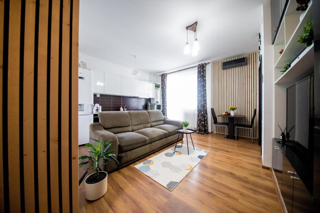 Penthouse View, Arad