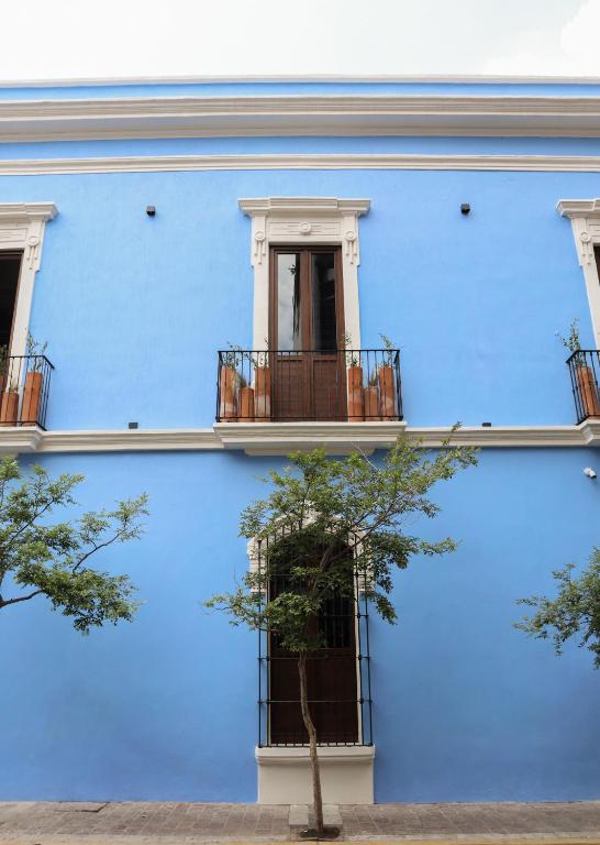 Calle y Número, López Cotilla - 4