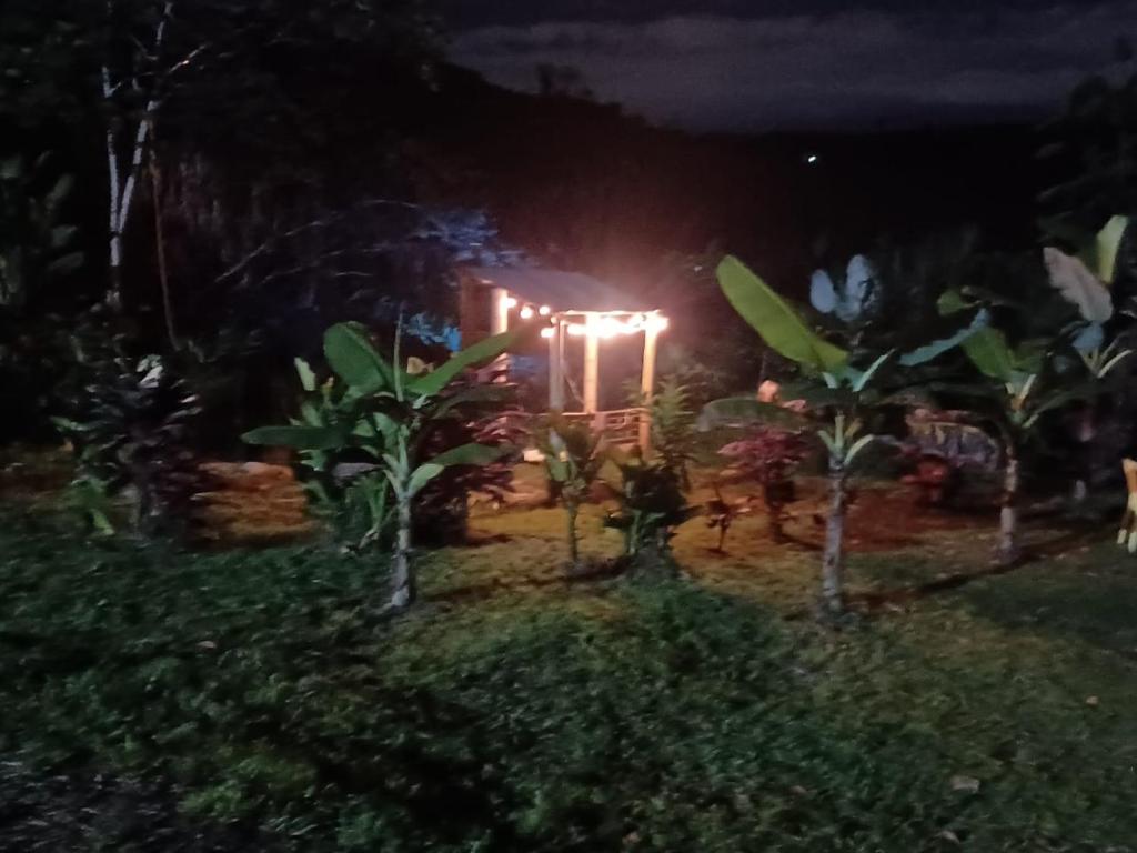 Finca la fabiola - 1