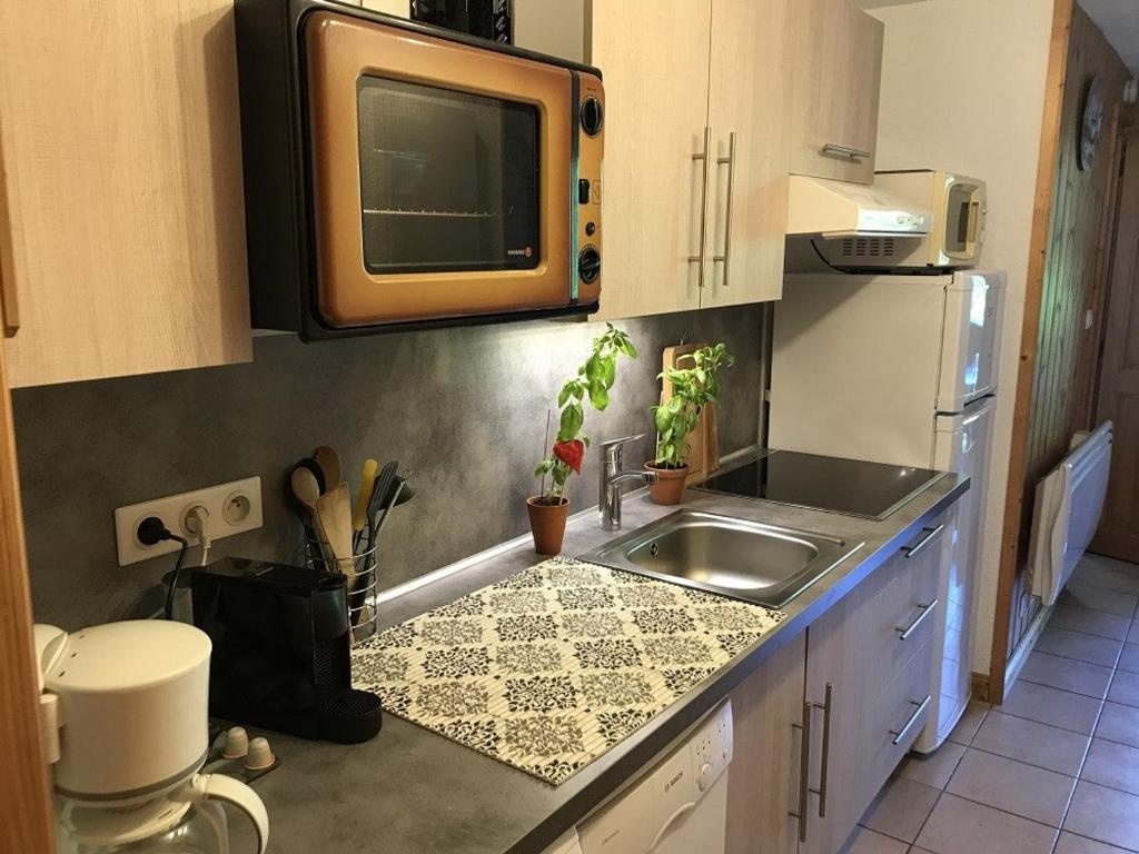 Charmant appartement avec WiFi à Samoëns - FR-1-846-20 - 3