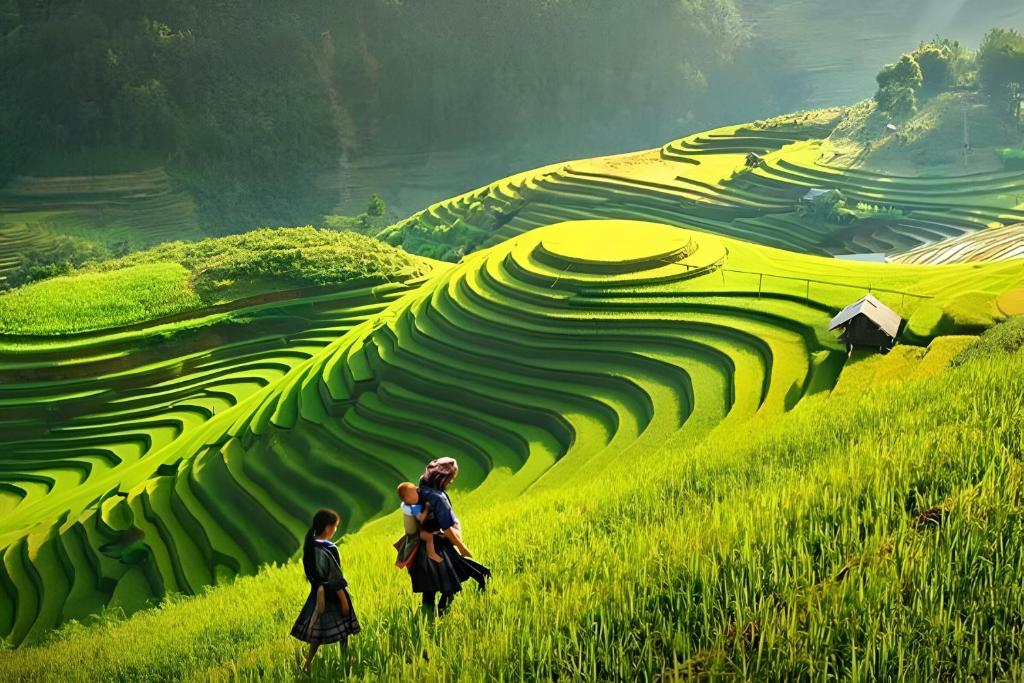 골든 문 스위트 호텔 호텔 이미지 1