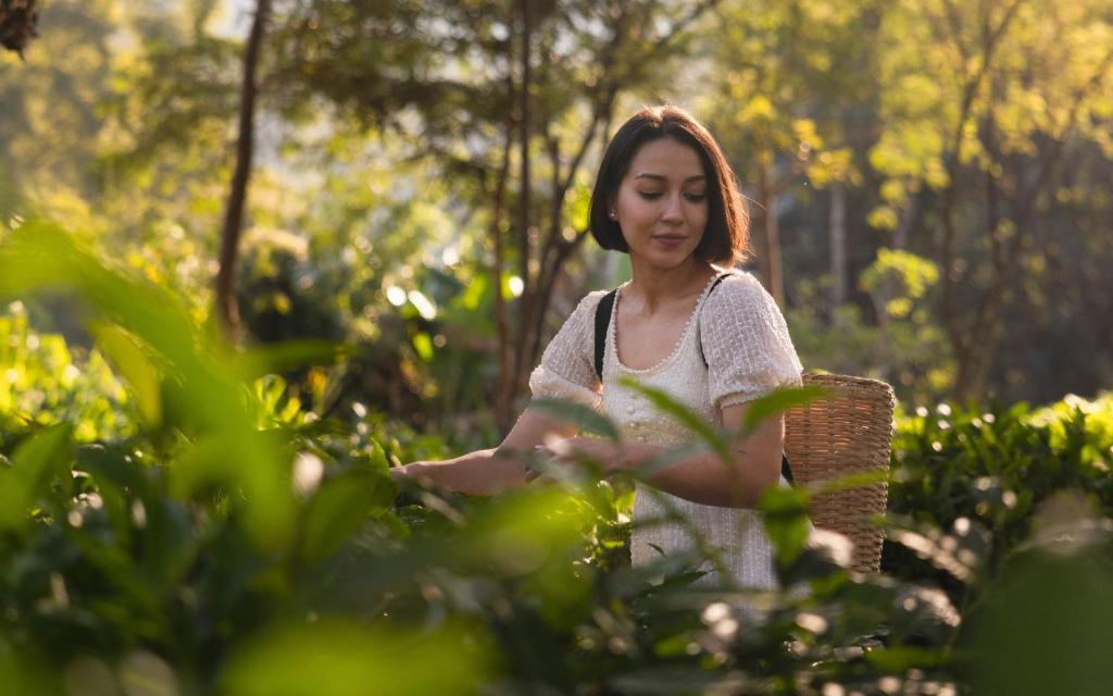 周辺案内