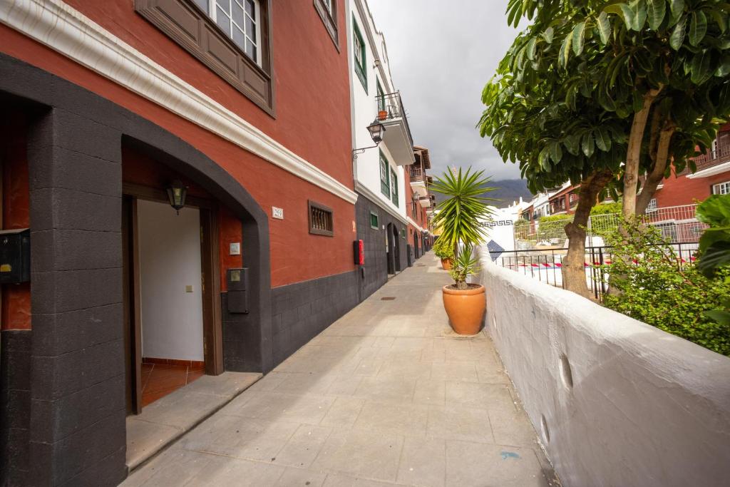 Sweet Home Botanico - 3