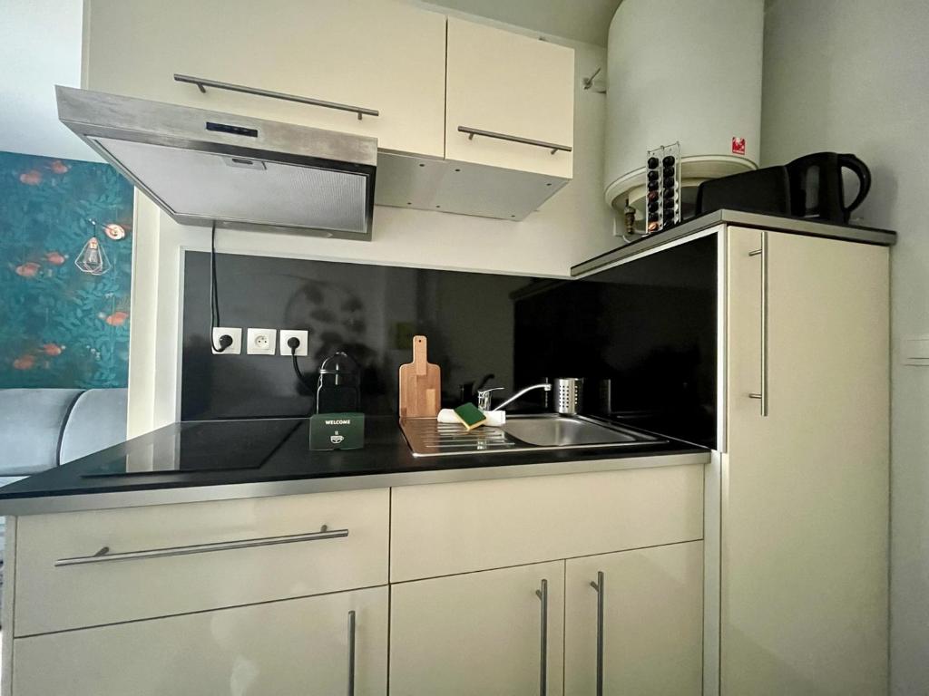 Small Studio in the Heart of Lille - 4