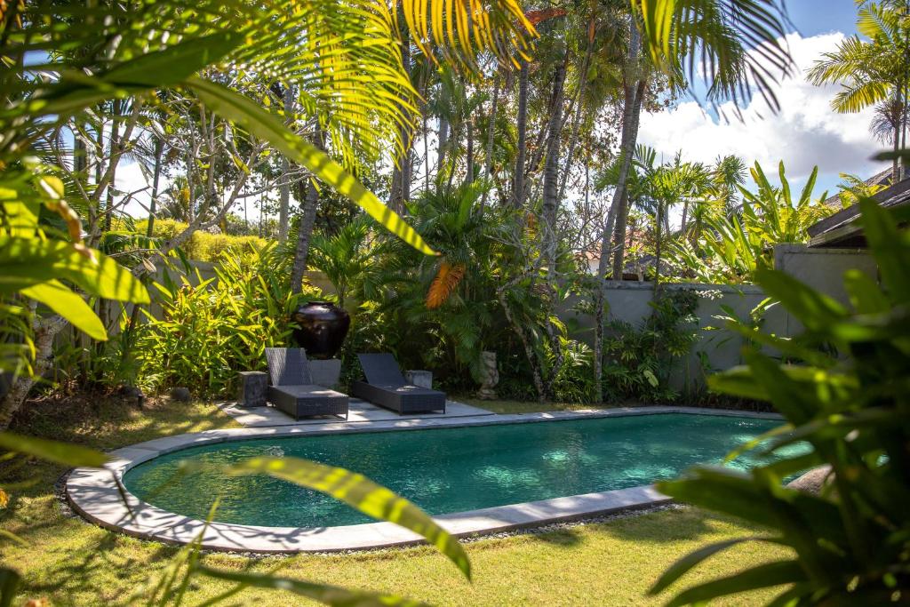 スイミングプール