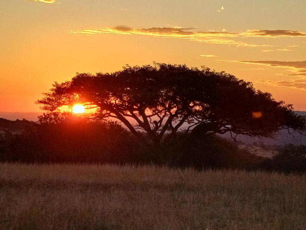 Valhalla Ranch, Dundee