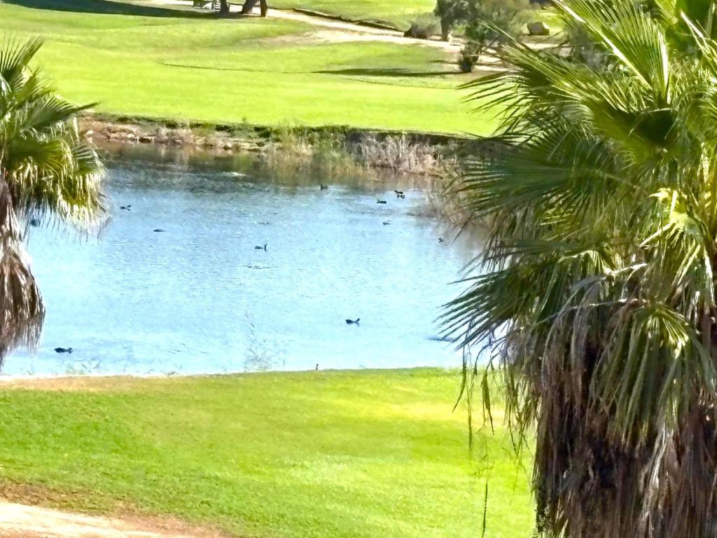 Mar Y Golf - 2