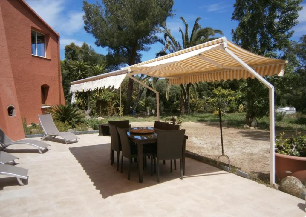 Appartements Calvi - 1