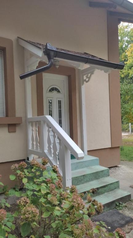 Platan I Apartman, Palić