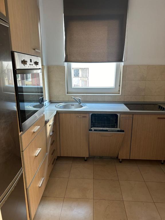 Cozy two bedroom in Belgrade - 4