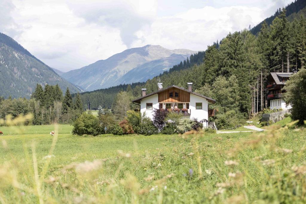 Innerkohlerhof - 5