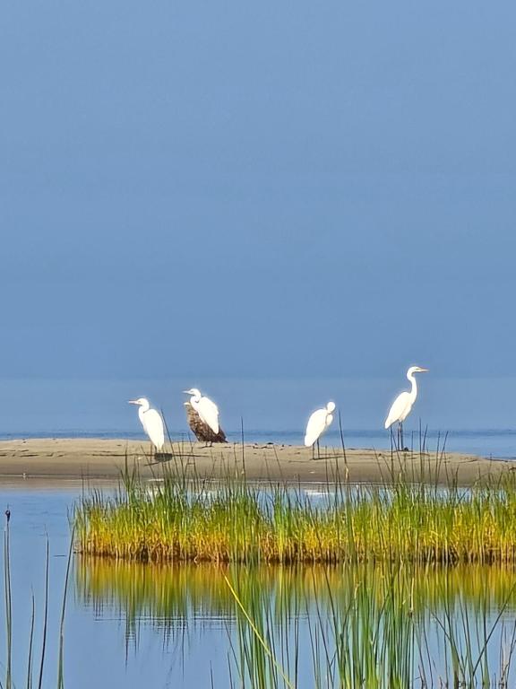 Pérka kodumajutus, Häädemeeste