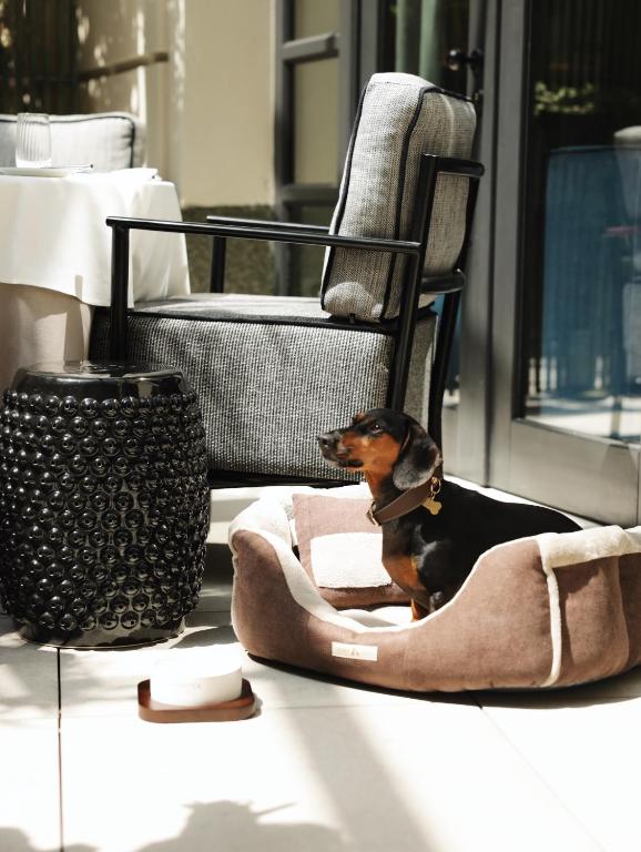 The Bristol Belgrade - 5